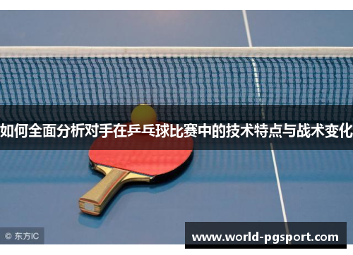 如何全面分析对手在乒乓球比赛中的技术特点与战术变化
