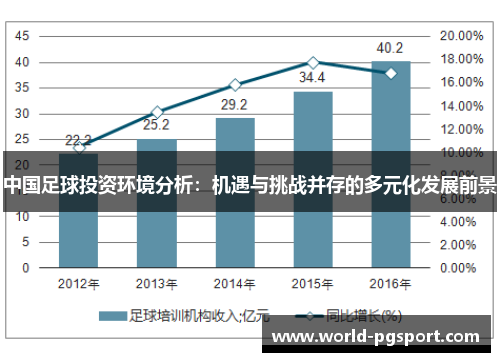 中国足球投资环境分析：机遇与挑战并存的多元化发展前景