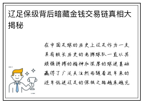 辽足保级背后暗藏金钱交易链真相大揭秘