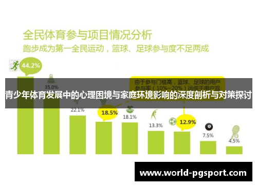青少年体育发展中的心理困境与家庭环境影响的深度剖析与对策探讨