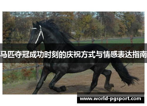 马匹夺冠成功时刻的庆祝方式与情感表达指南 马匹夺冠成功时刻的庆祝方式与情感表达指南
